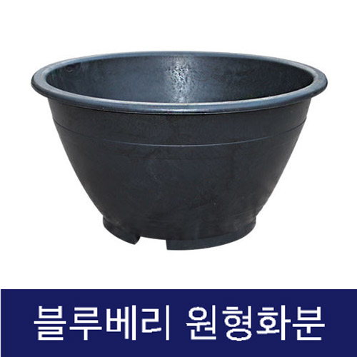 고무다라 원형화분 (블루베리) 600Φ*H350