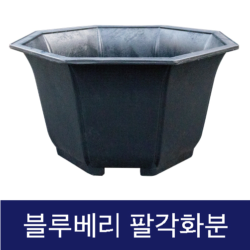 고무다라-팔각화분 (블루베리) (중) 590*H370